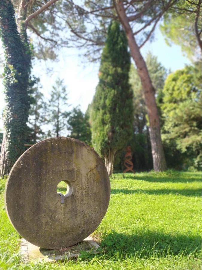 Torrenova Di Assisi Country House Zewnętrze zdjęcie